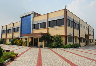 Apex Company Image